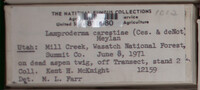 Image Associated With the Occurence